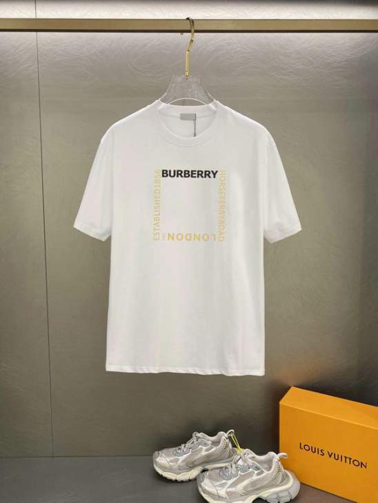 Picture of Burberry T Shirts Short _SKUBurberryS-5XL25tr0219695